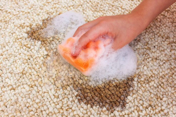imgi_163_carpet-cleaner-4917554-1788760658965-4dccb431